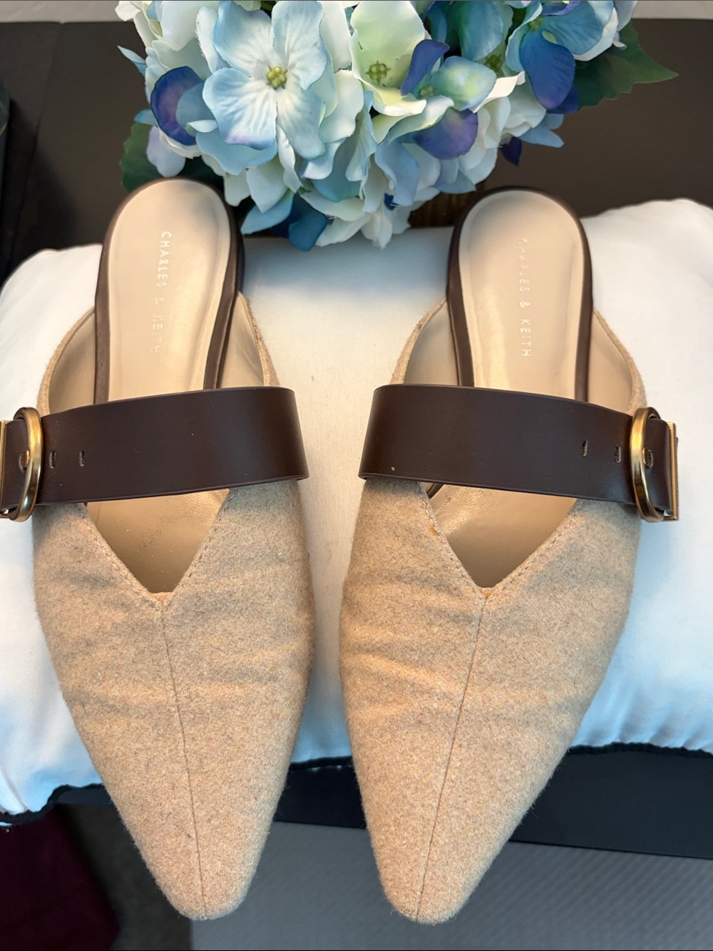 Charles & Keith Beige Pointed Mules with Dark Brown Buckle Strap